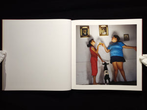 The Adventures of Guille and Belinda and The Enigmatic Meaning of Their Dreams / Alessandra Sanguinetti