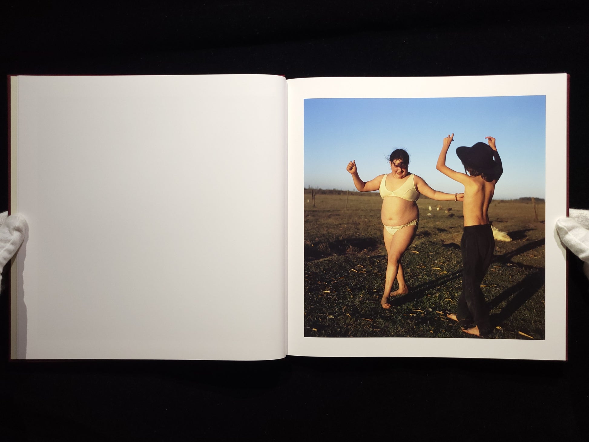 The Adventures of Guille and Belinda and The Enigmatic Meaning of Their Dreams / Alessandra Sanguinetti