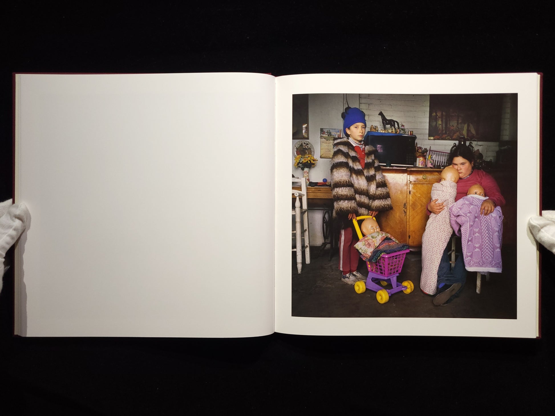 The Adventures of Guille and Belinda and The Enigmatic Meaning of Their Dreams / Alessandra Sanguinetti