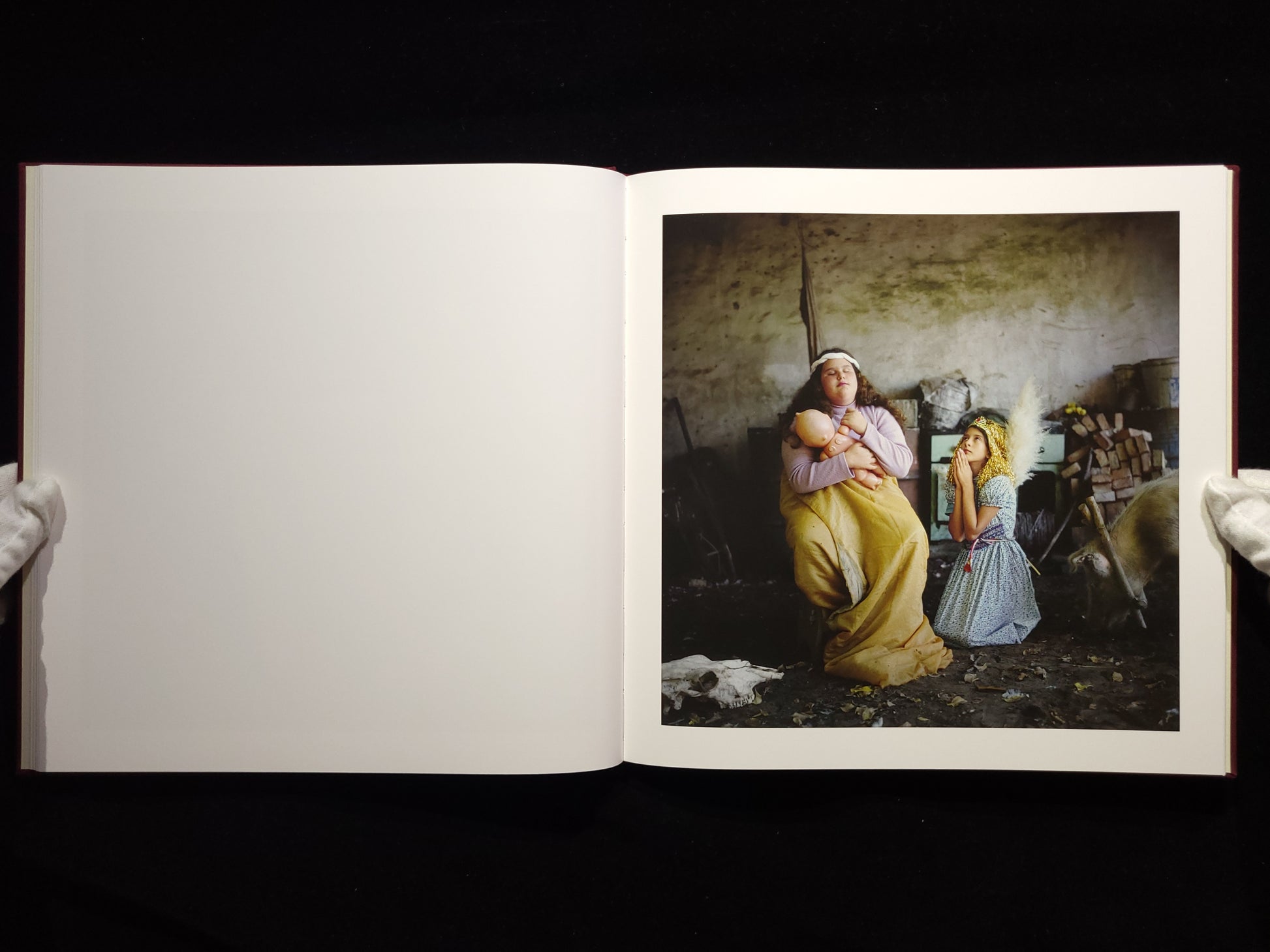 The Adventures of Guille and Belinda and The Enigmatic Meaning of Their Dreams / Alessandra Sanguinetti