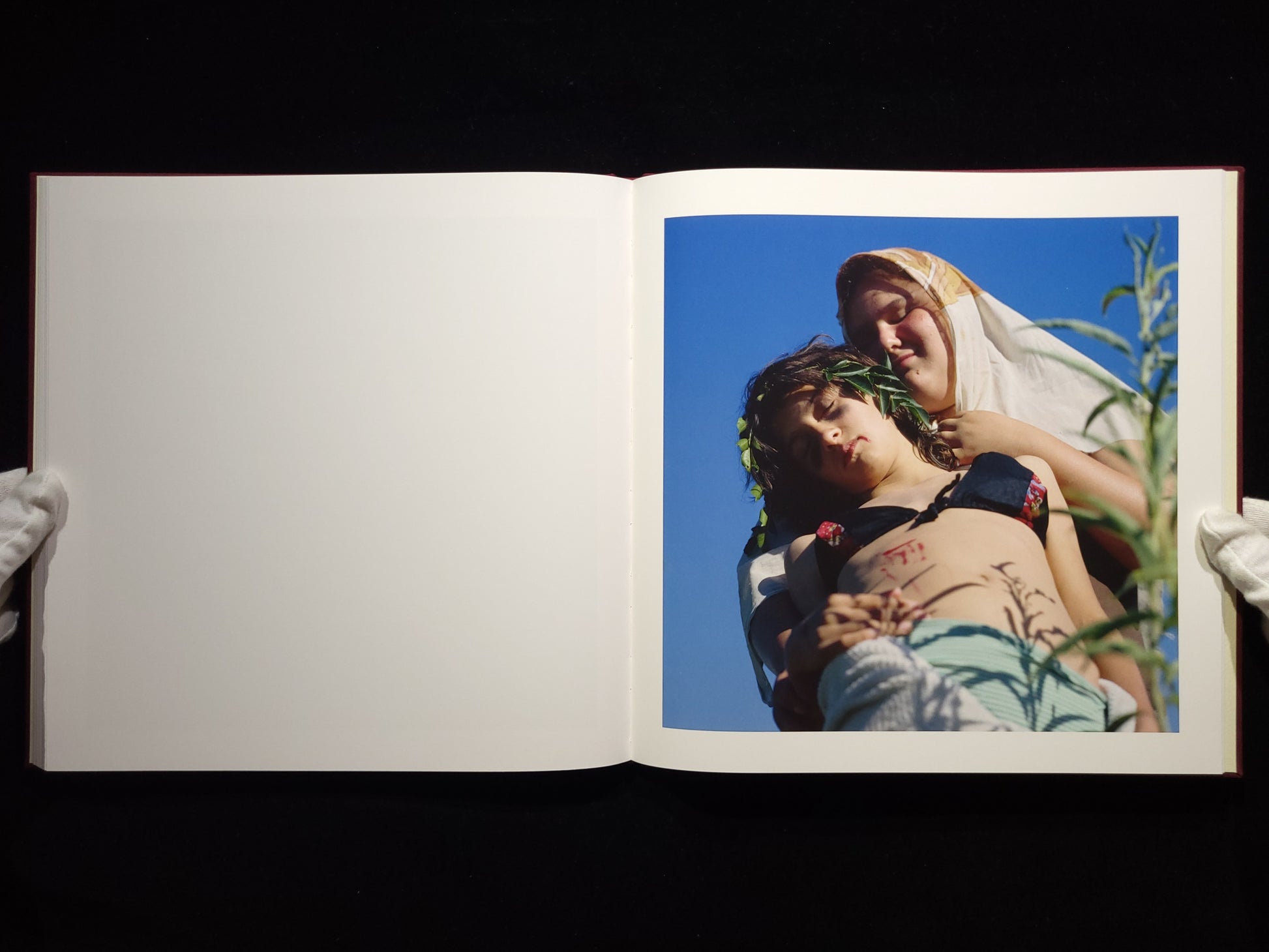 The Adventures of Guille and Belinda and The Enigmatic Meaning of Their Dreams / Alessandra Sanguinetti