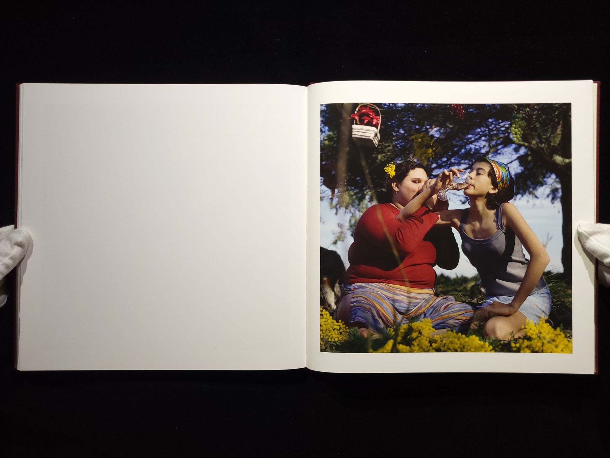 The Adventures of Guille and Belinda and The Enigmatic Meaning of Their Dreams / Alessandra Sanguinetti