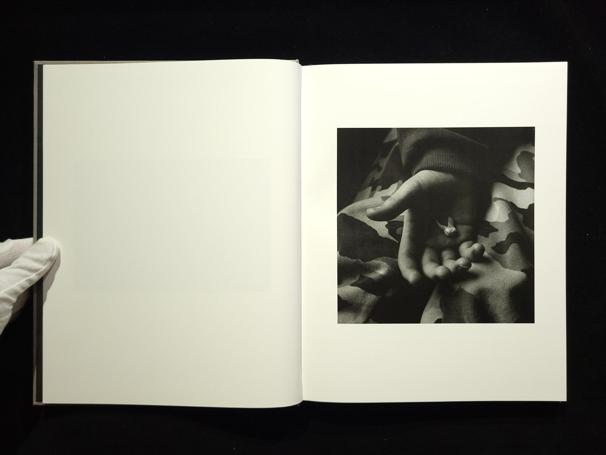 The Seraphim / Jesse Lenz