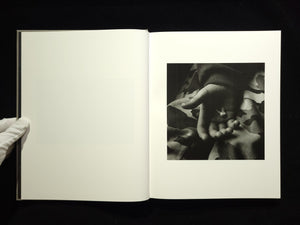 The Seraphim / Jesse Lenz