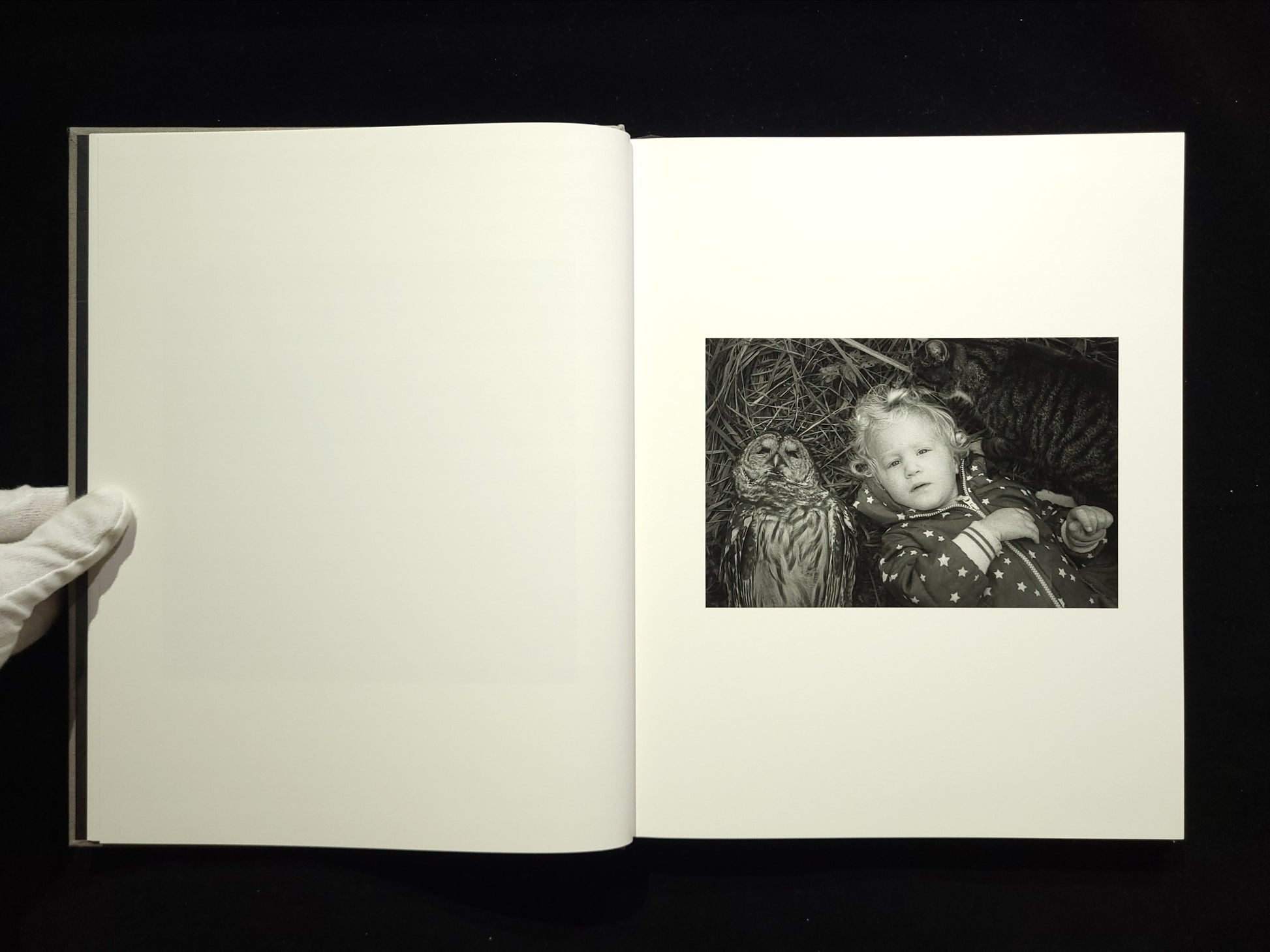 The Seraphim / Jesse Lenz