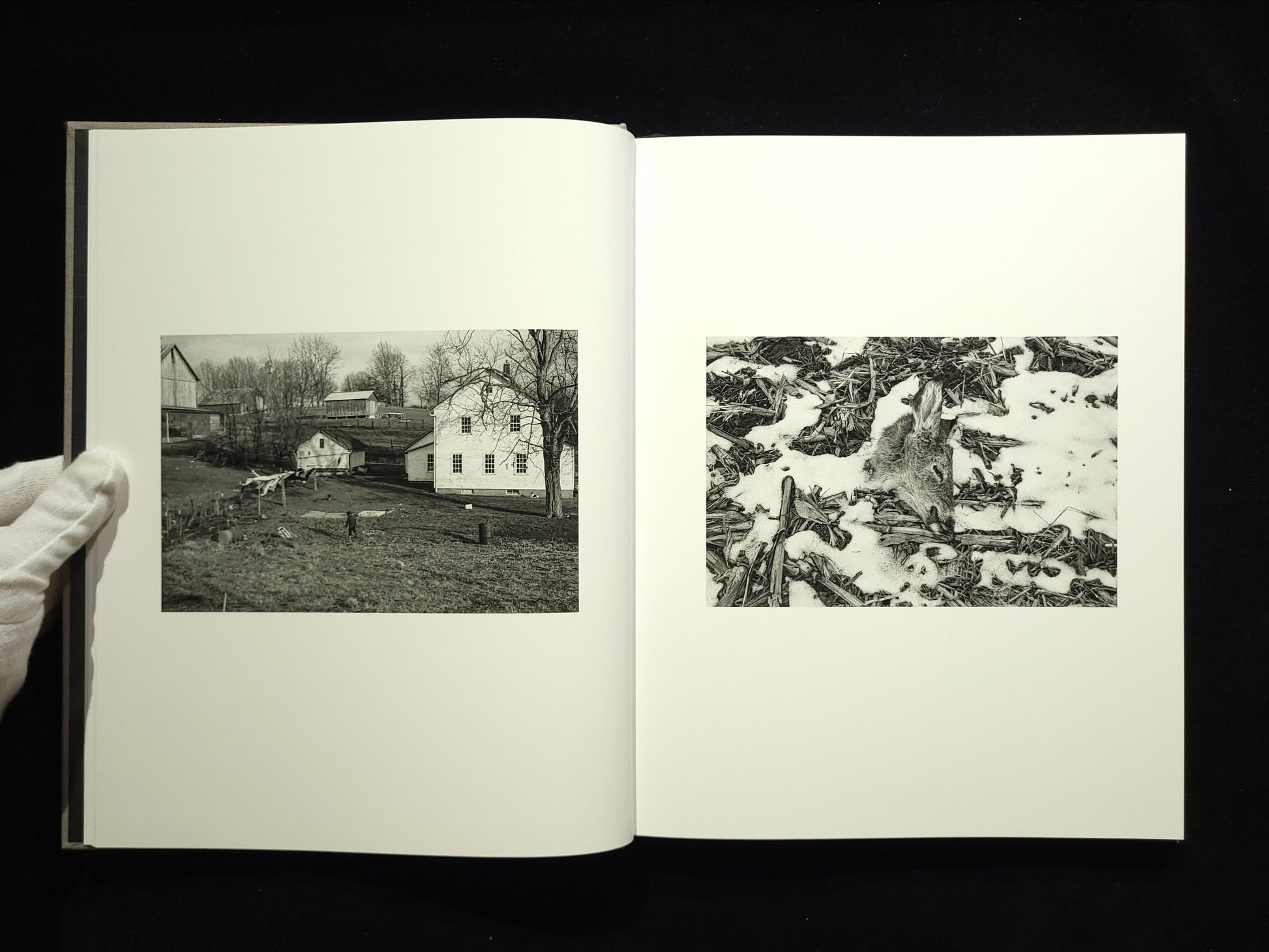 The Seraphim / Jesse Lenz