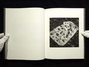 The Seraphim / Jesse Lenz