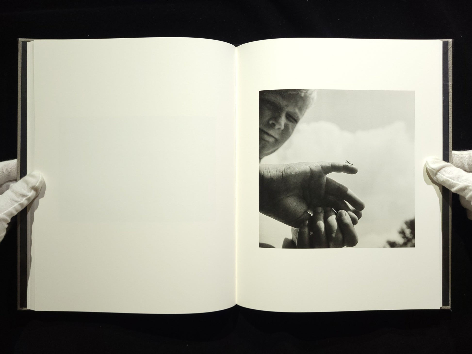 The Seraphim / Jesse Lenz