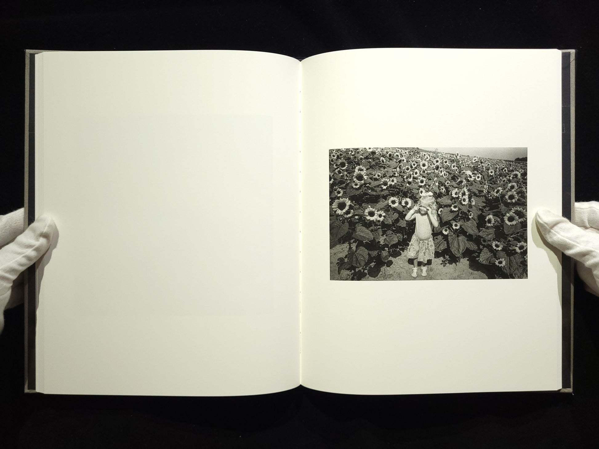 The Seraphim / Jesse Lenz