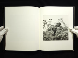 The Seraphim / Jesse Lenz