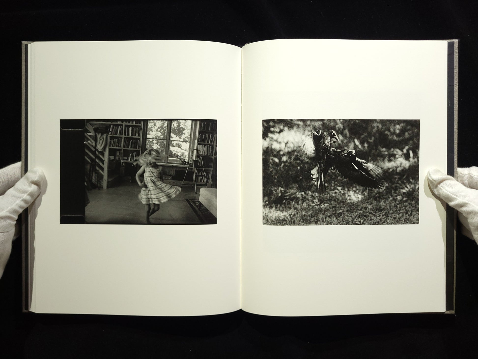 The Seraphim / Jesse Lenz
