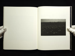 The Seraphim / Jesse Lenz