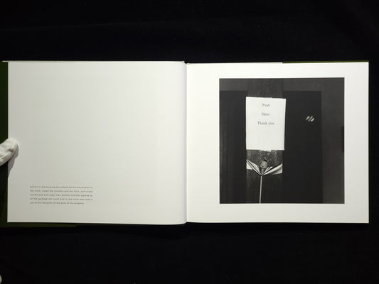 Trip / Susan Lipper 