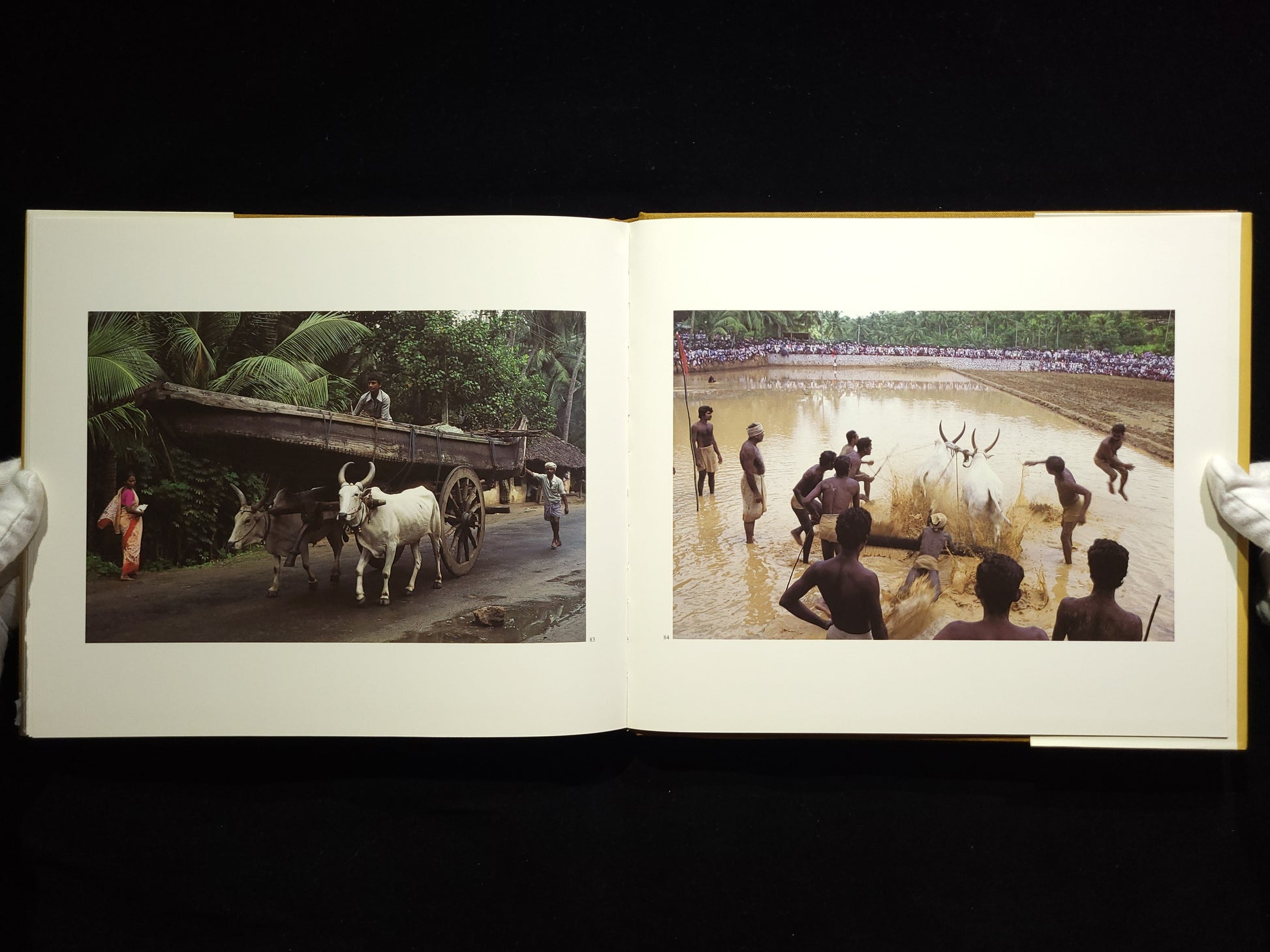 Kerala / Raghubir Singh