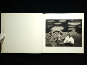 Inner Light / Flor Garduno
