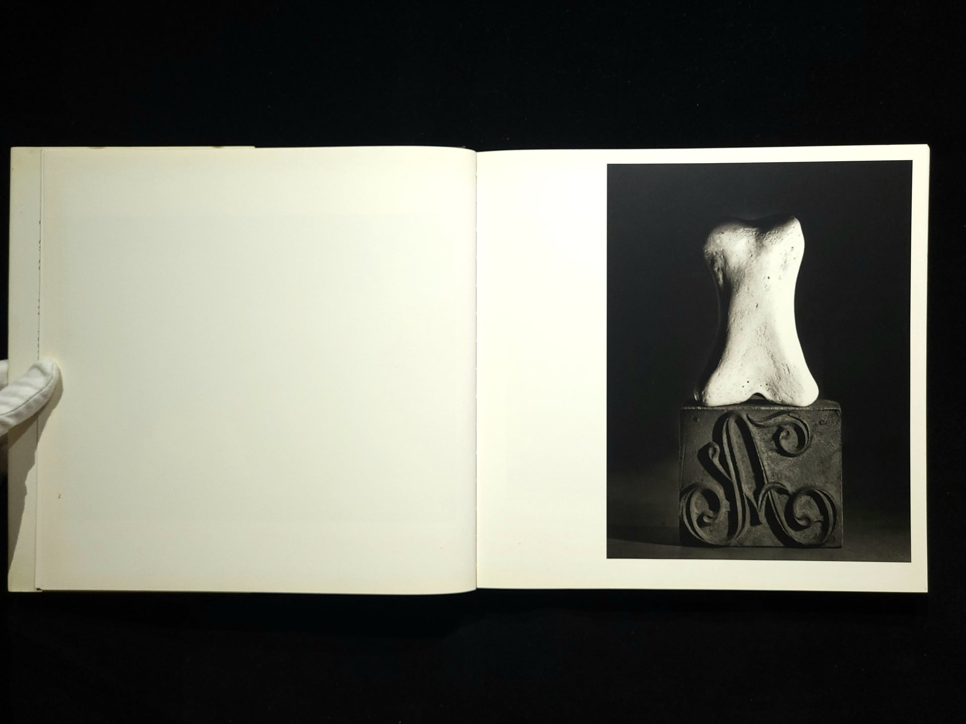 Inner Light / Flor Garduno