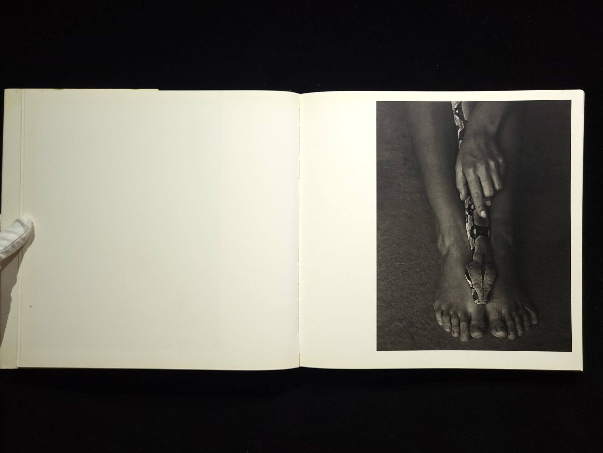 Inner Light / Flor Garduno