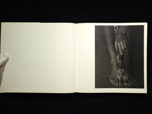 Inner Light / Flor Garduno