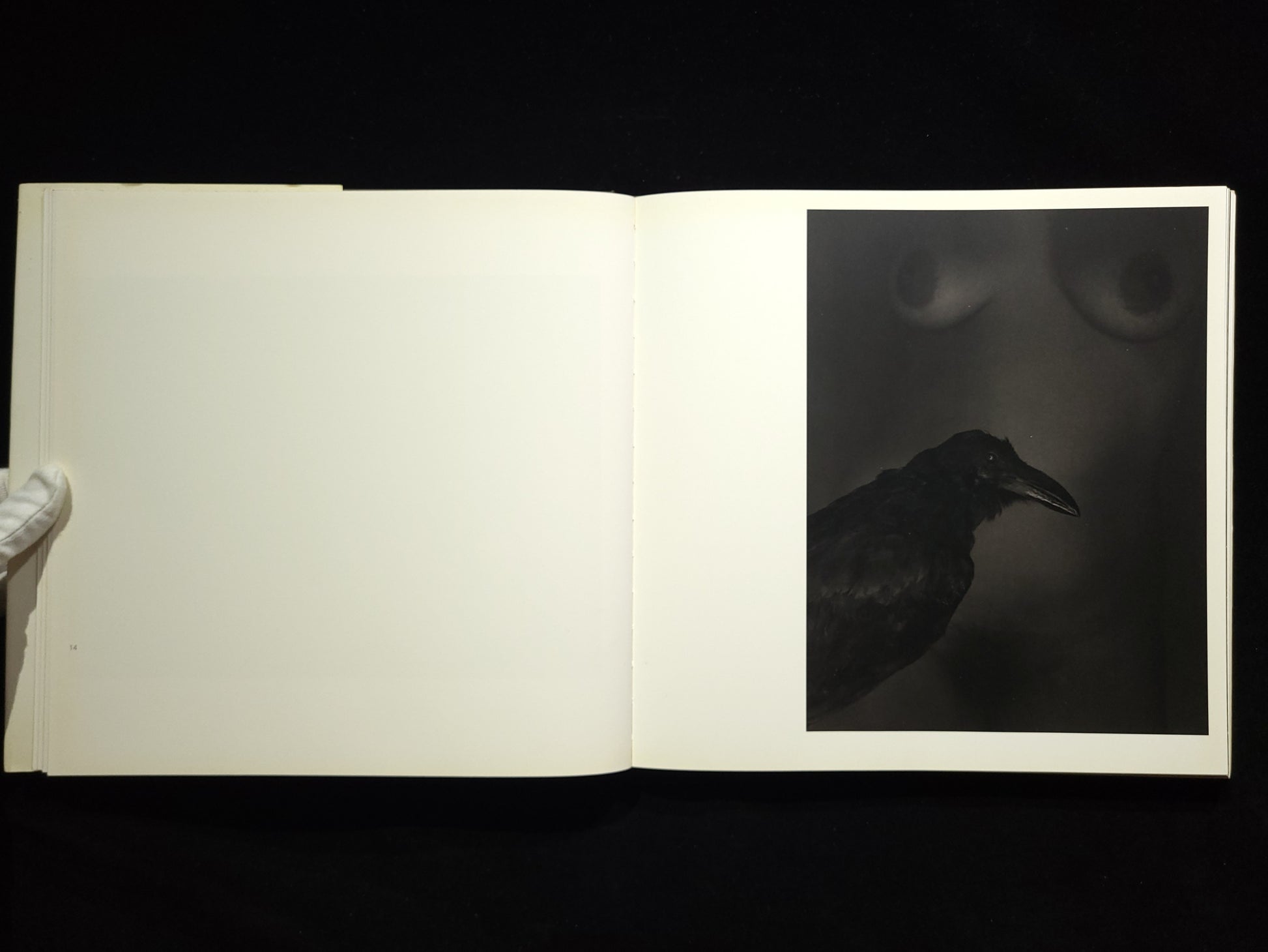 Inner Light / Flor Garduno
