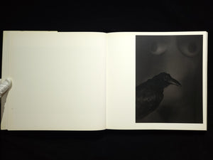 Inner Light / Flor Garduno