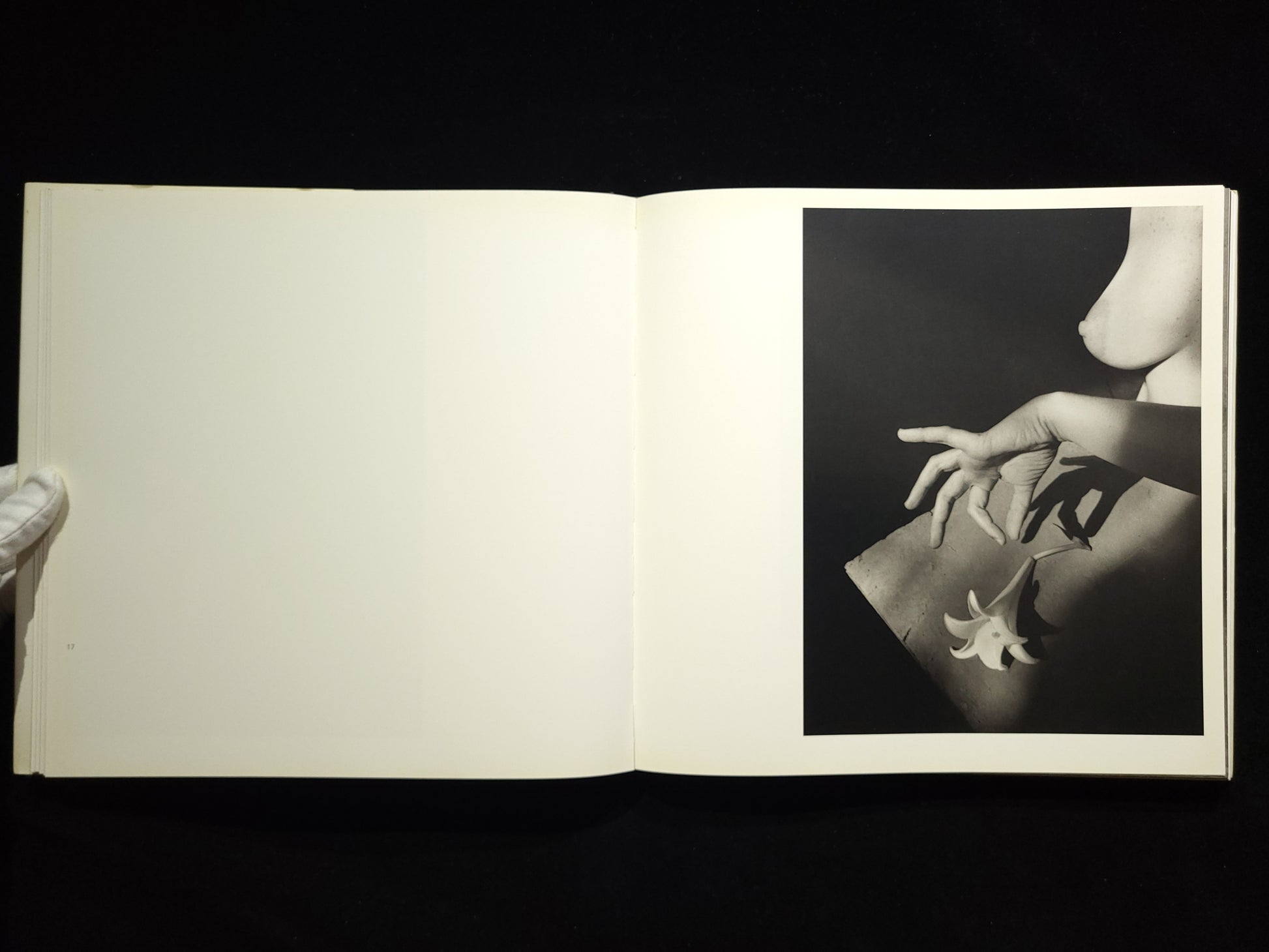 Inner Light / Flor Garduno