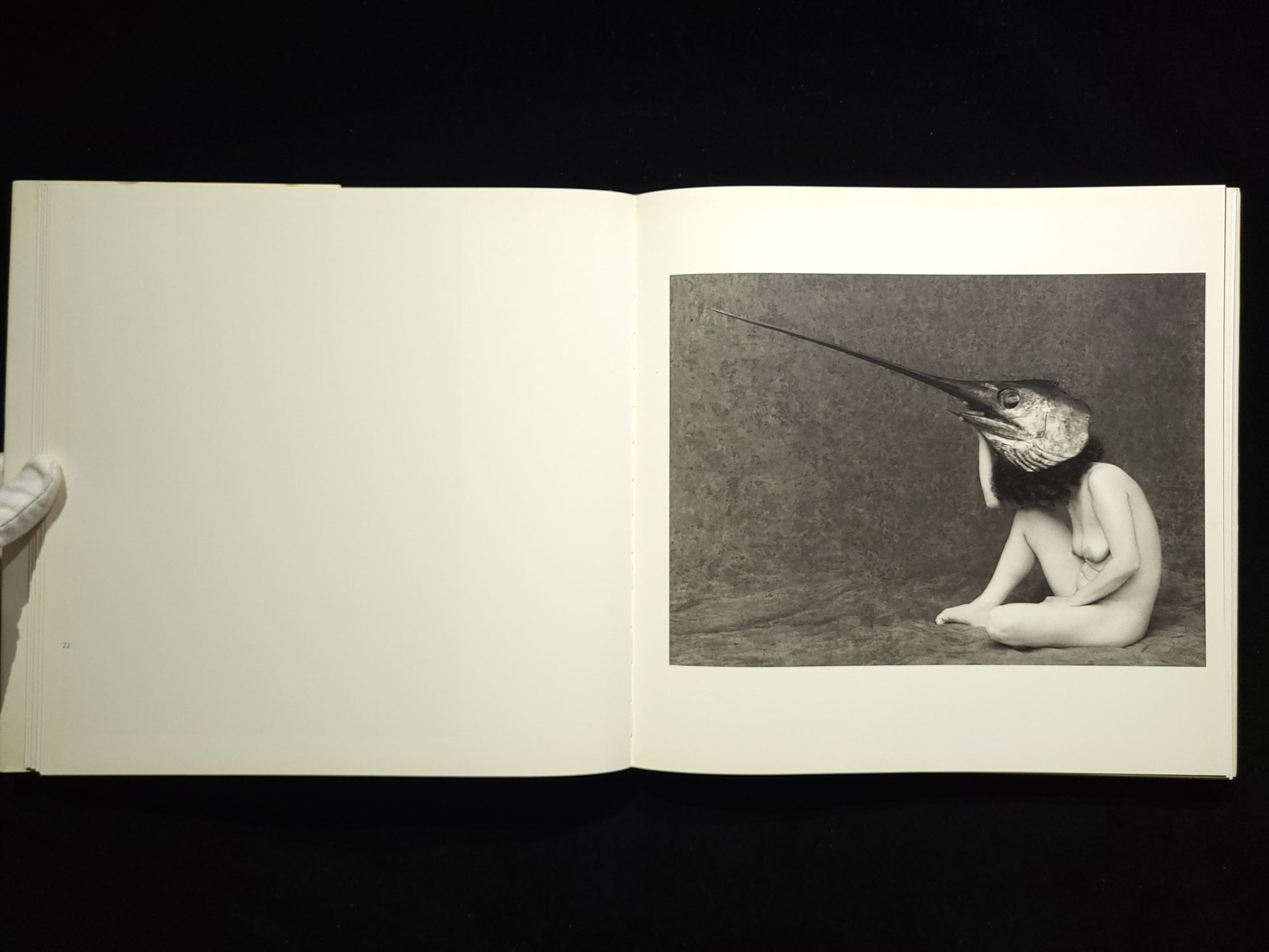 Inner Light / Flor Garduno