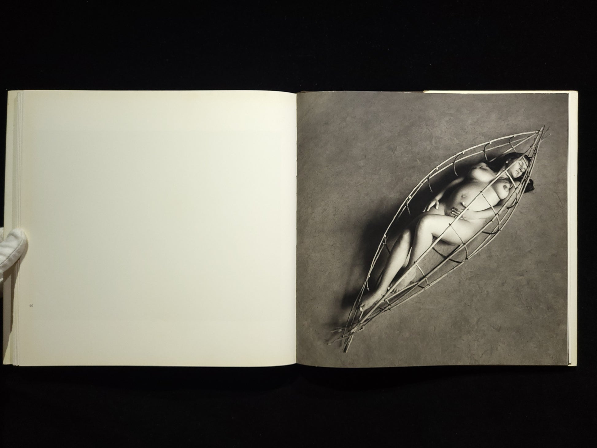 Inner Light / Flor Garduno