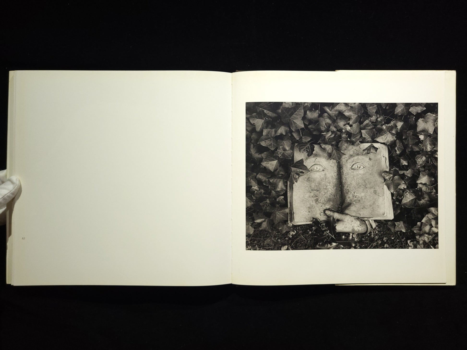 Inner Light / Flor Garduno