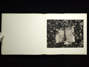 Inner Light / Flor Garduno