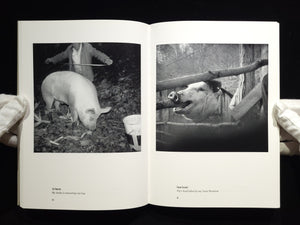 Portraits and Dreams / Wendy Ewald