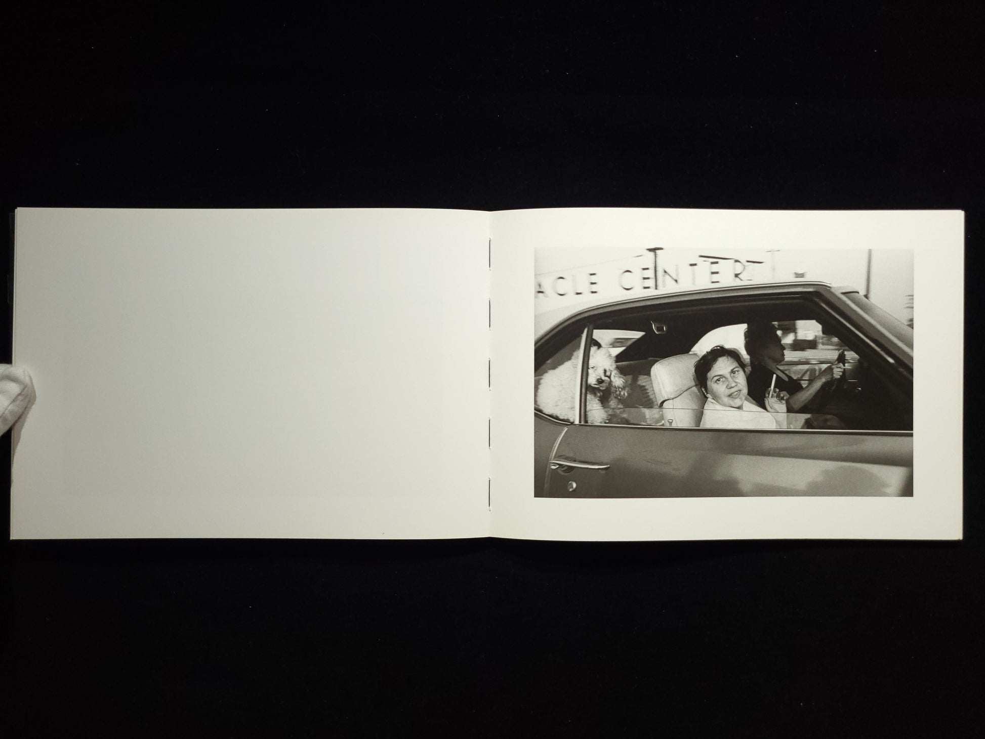 People in Cars / Mike Mandel