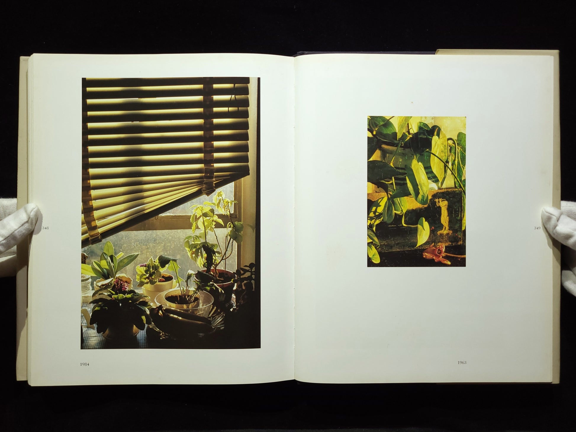 Andre Kertesz His Life and Work