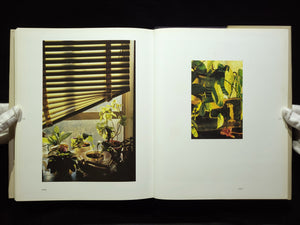 Andre Kertesz His Life and Work
