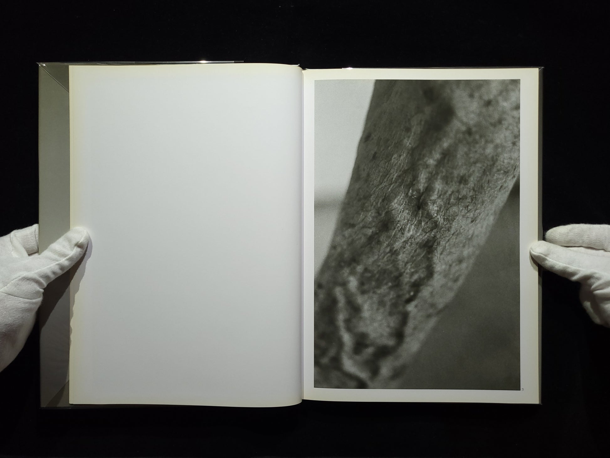 1906 to the skin / 石内都