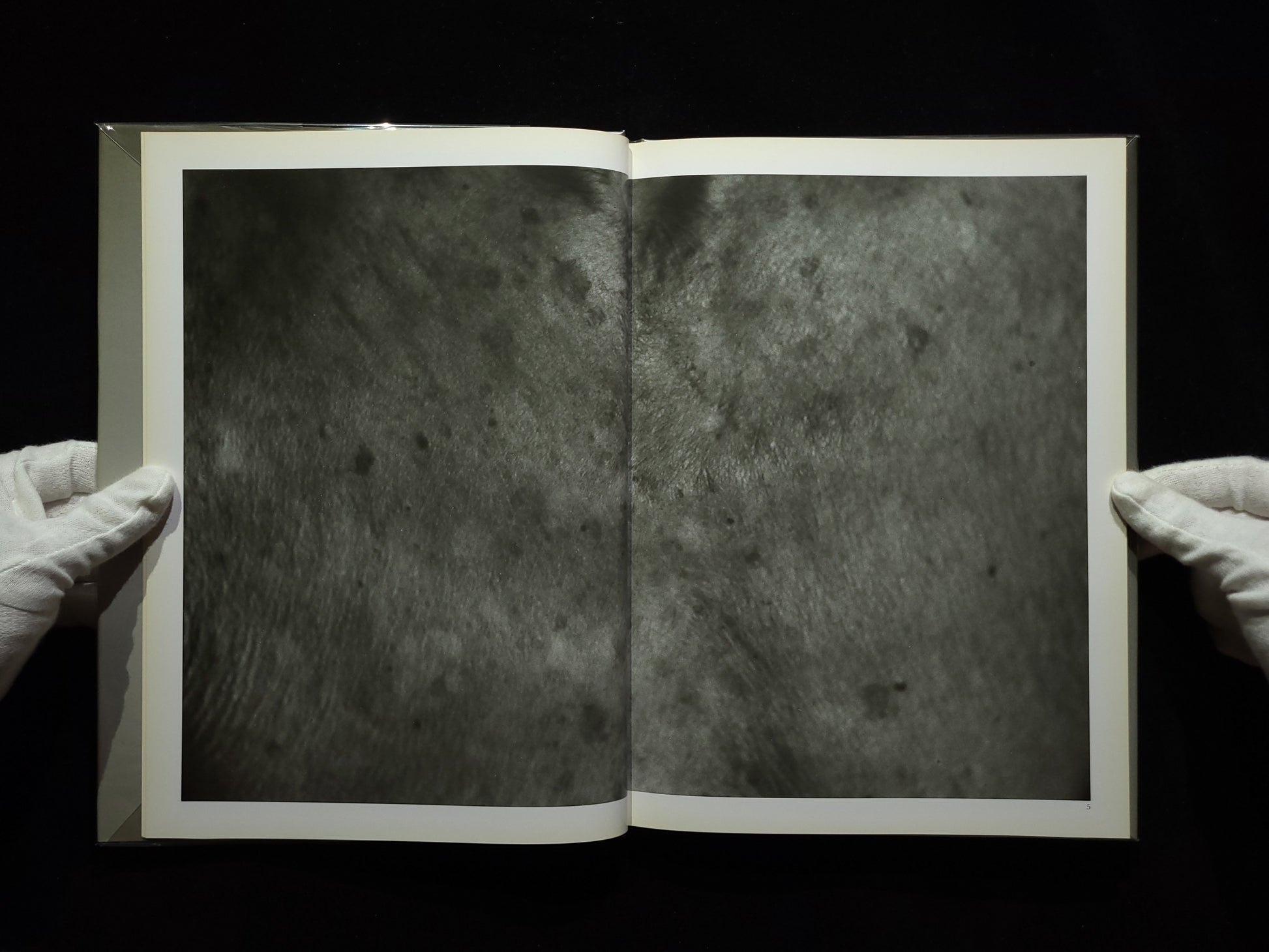 1906 to the skin / 石内都