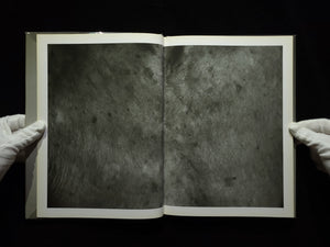 1906 to the skin / 石内都