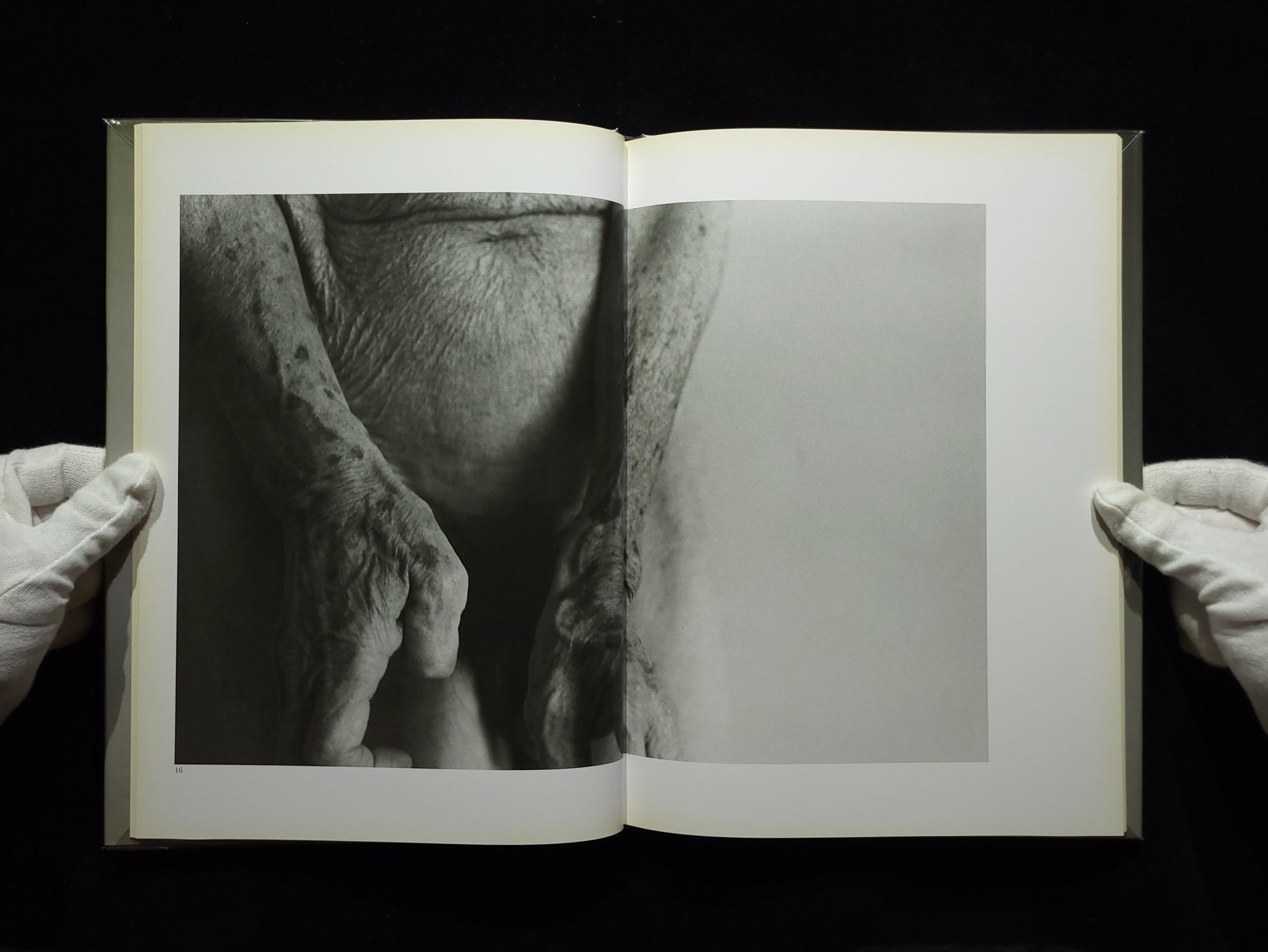 1906 to the skin / 石内都