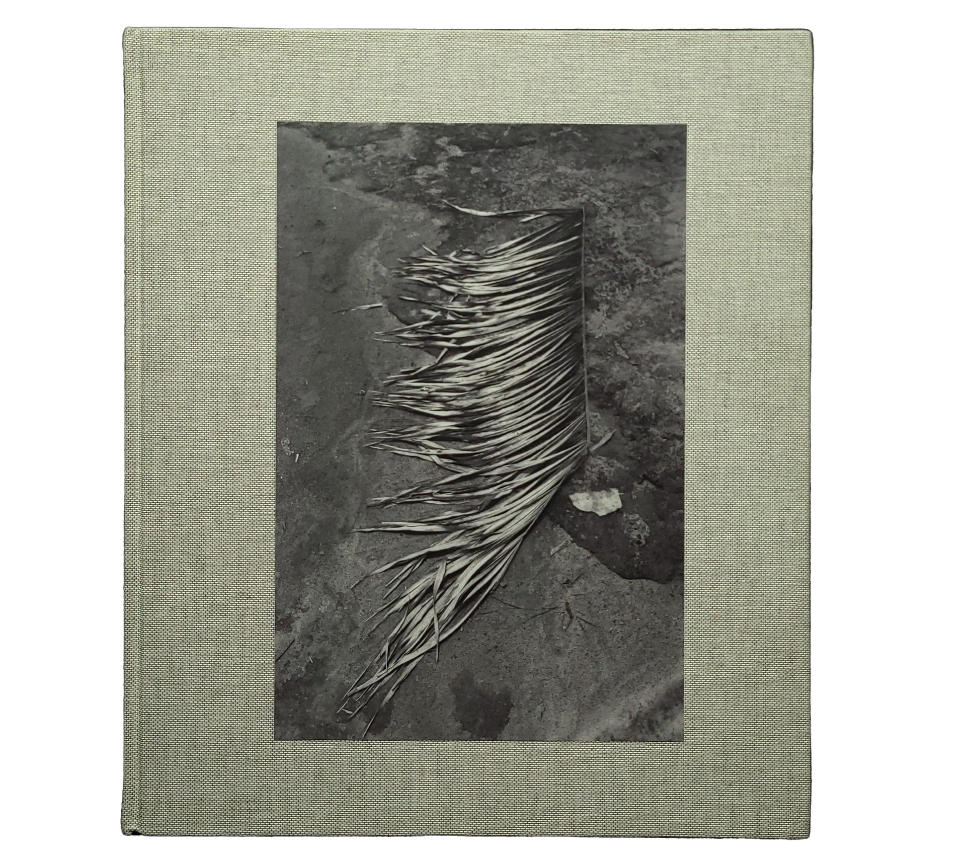 Pikin Slee / Viviane Sassen