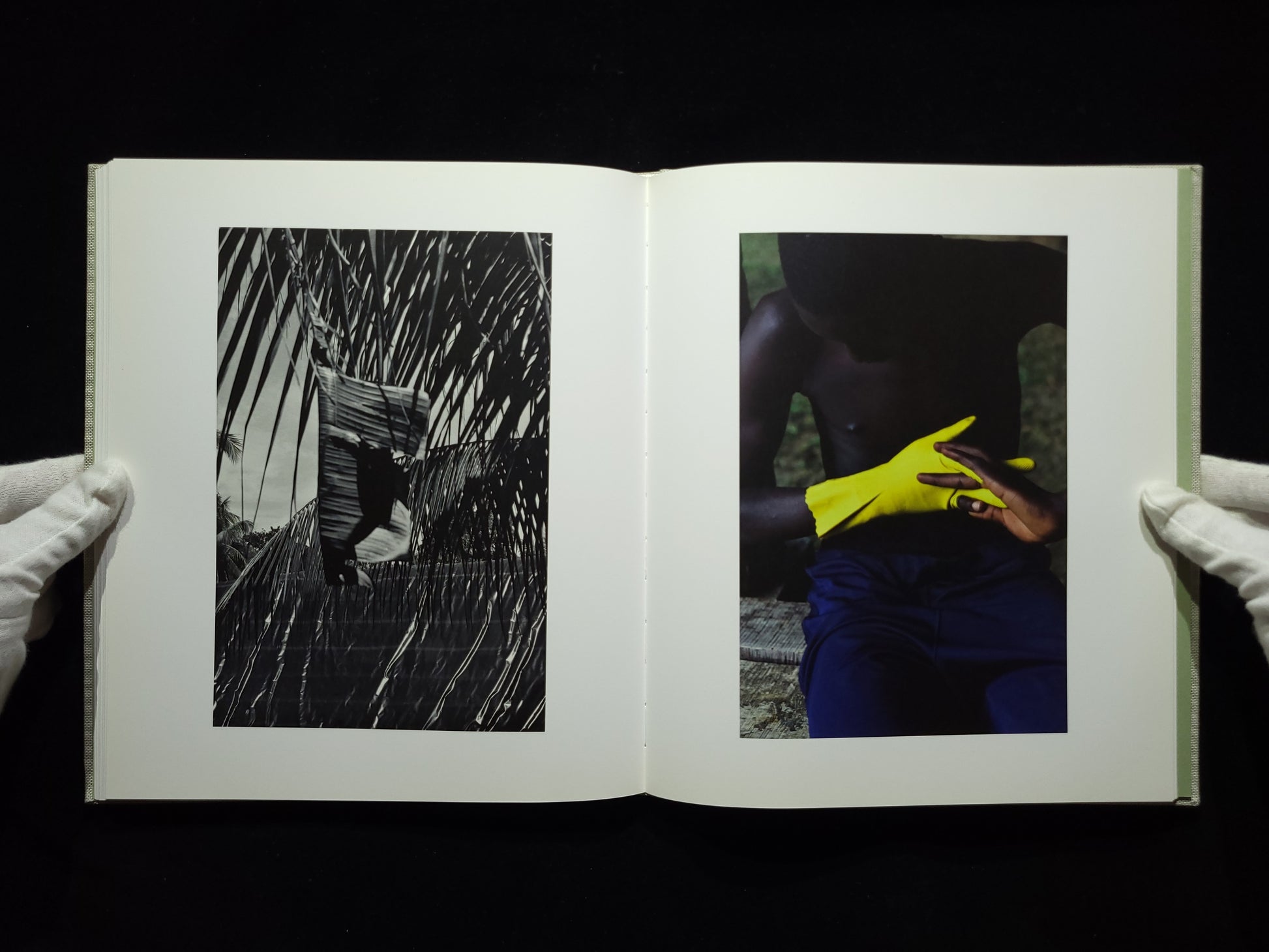 Pikin Slee / Viviane Sassen