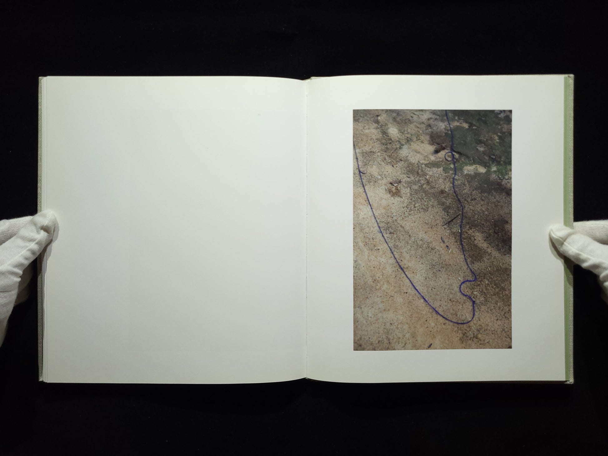 Pikin Slee / Viviane Sassen
