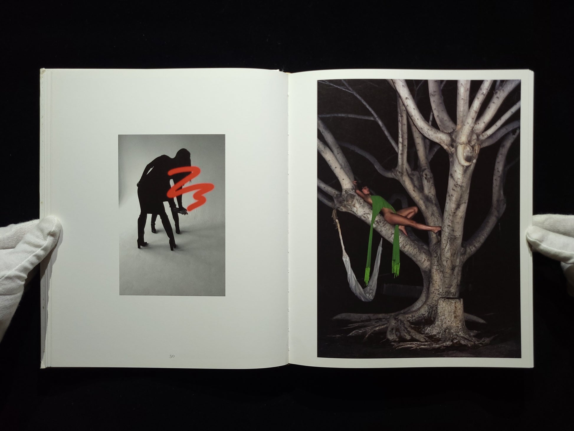 In And Out Of Fashion / Viviane Sassen
