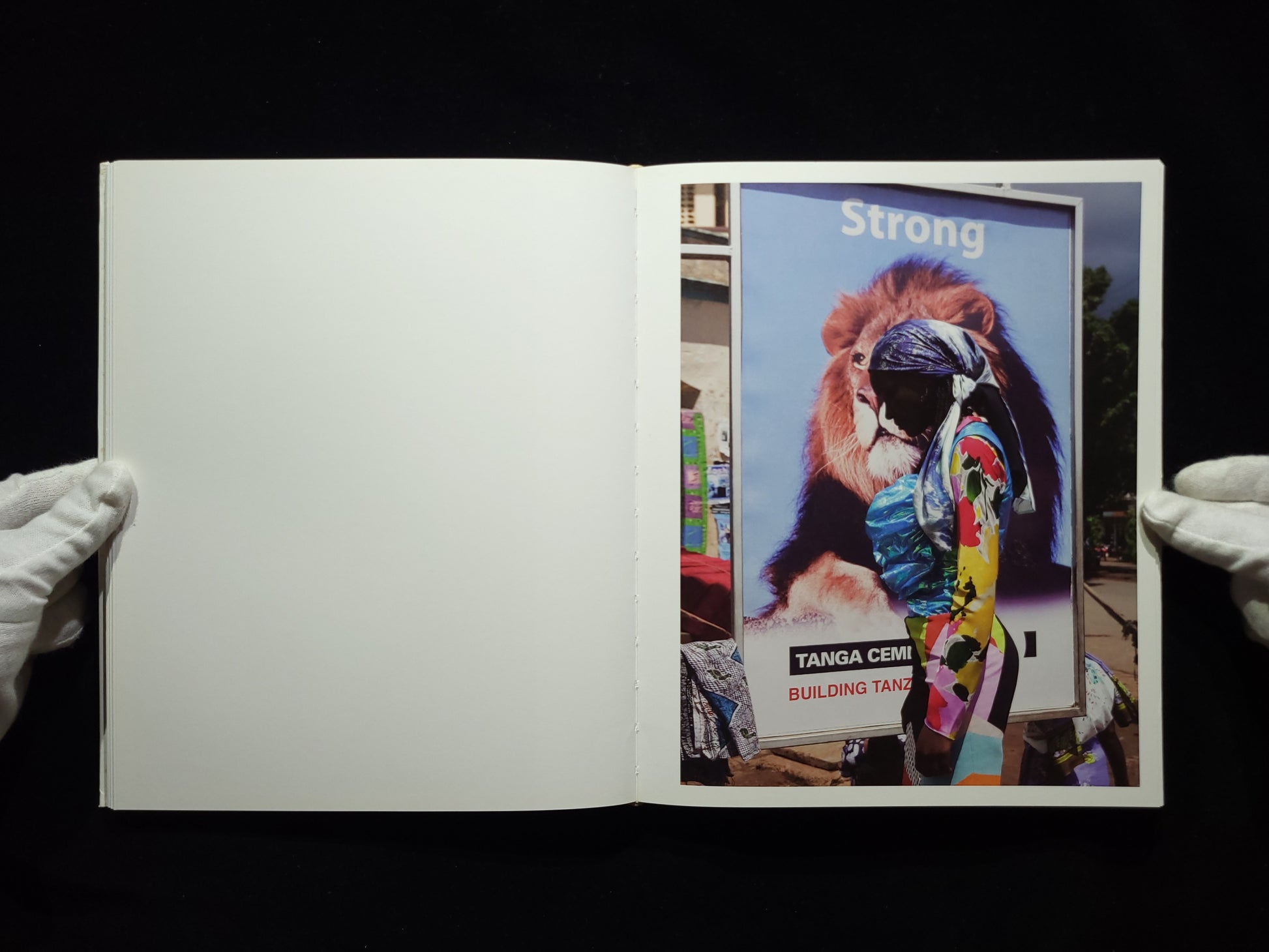 In And Out Of Fashion / Viviane Sassen