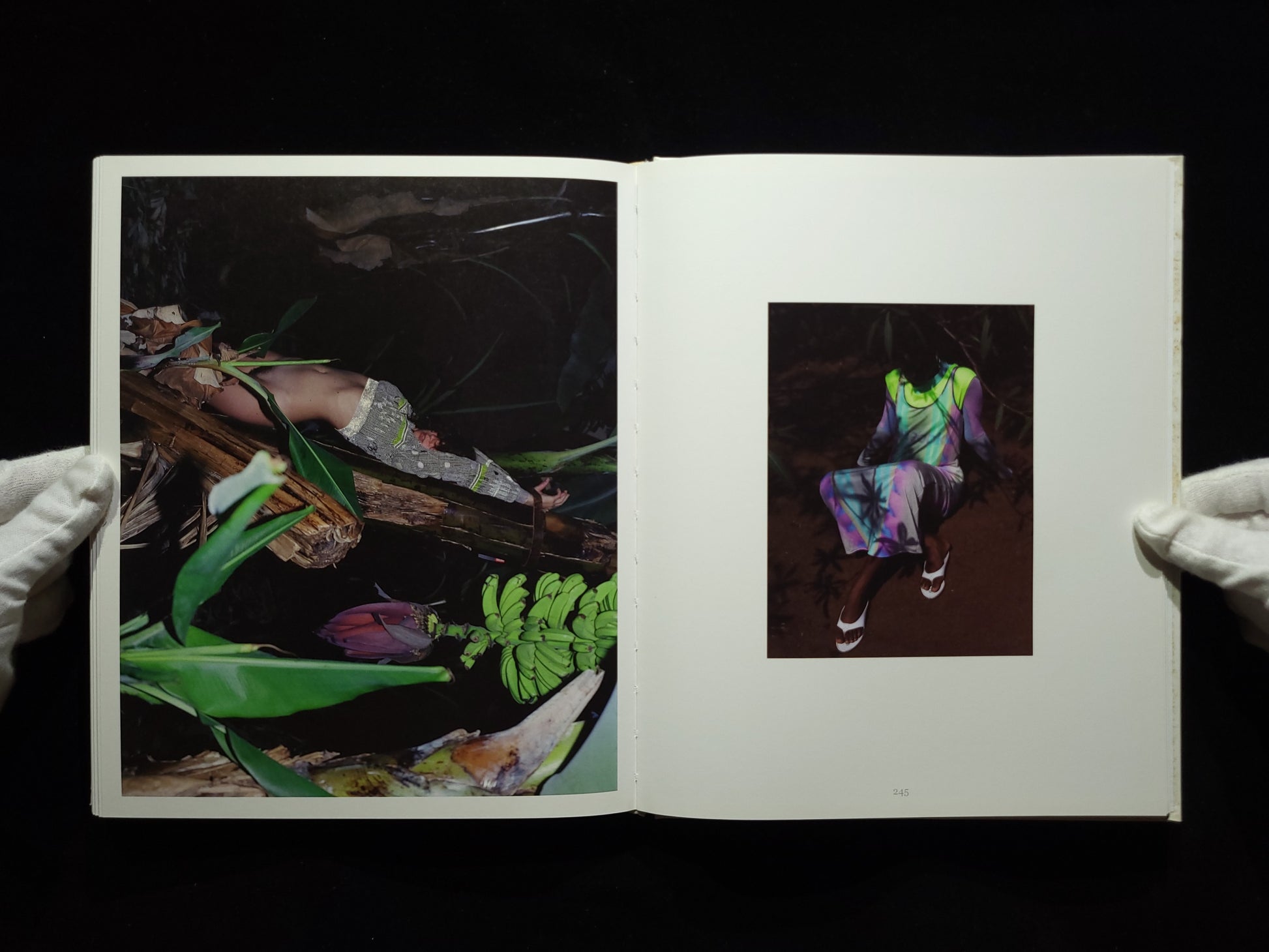 In And Out Of Fashion / Viviane Sassen