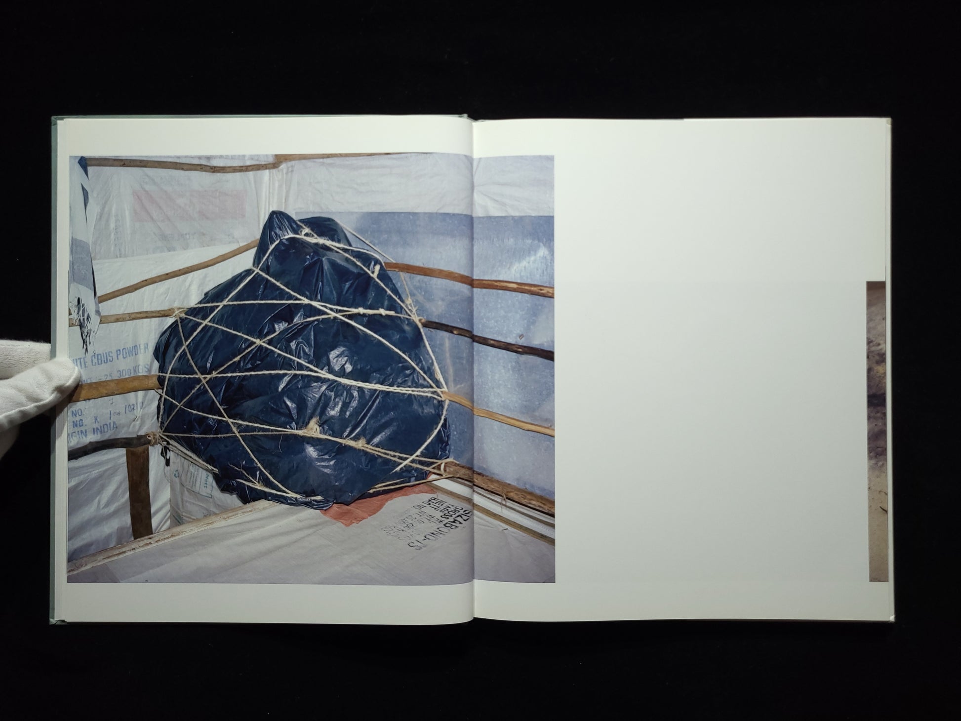 Parasomnia / Viviane Sassen
