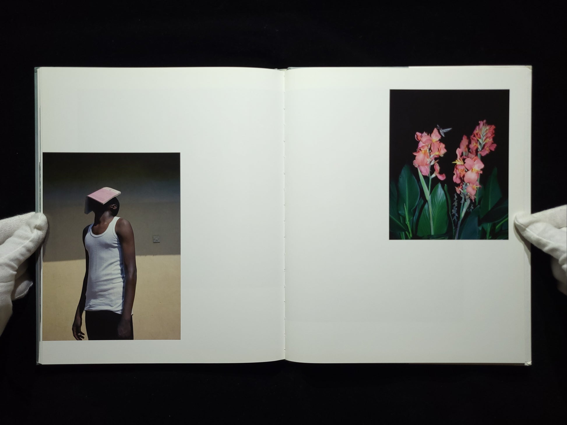 Parasomnia / Viviane Sassen