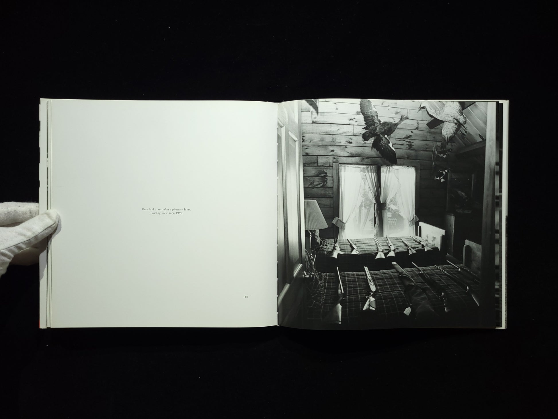 American Dreams / Bastienne Schmidt