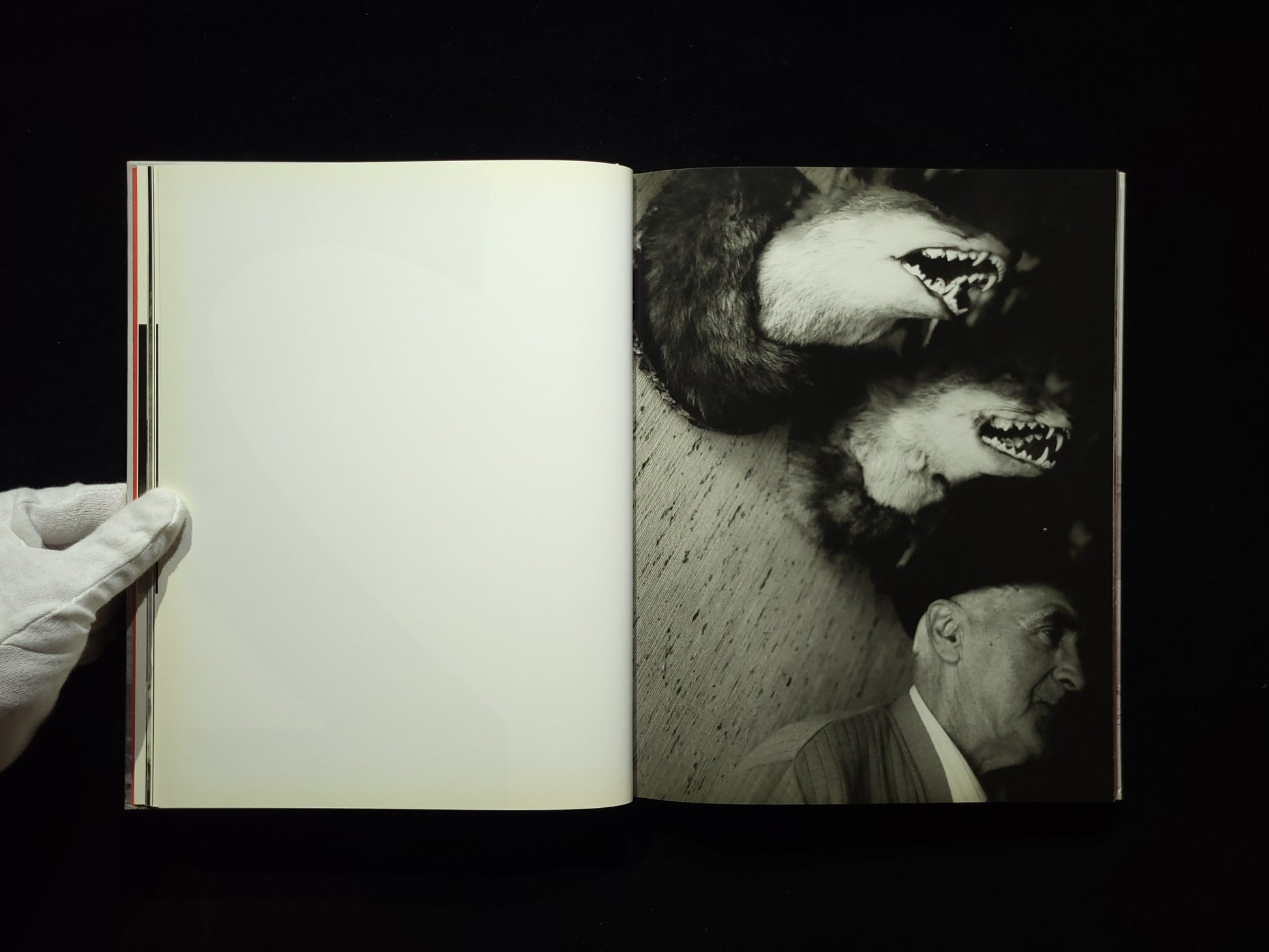 Shadowhome / Bastienne Schmidt