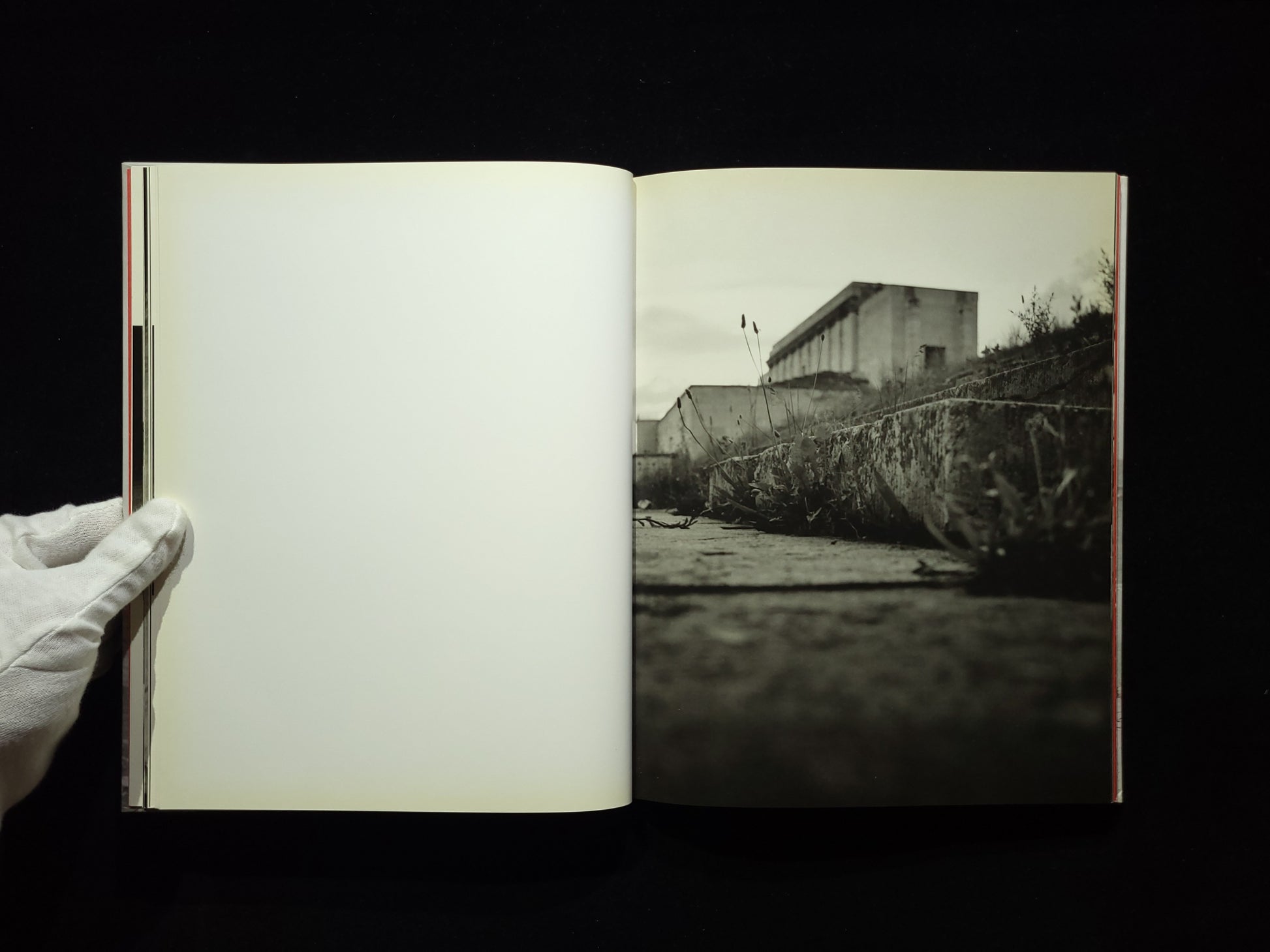 Shadowhome / Bastienne Schmidt