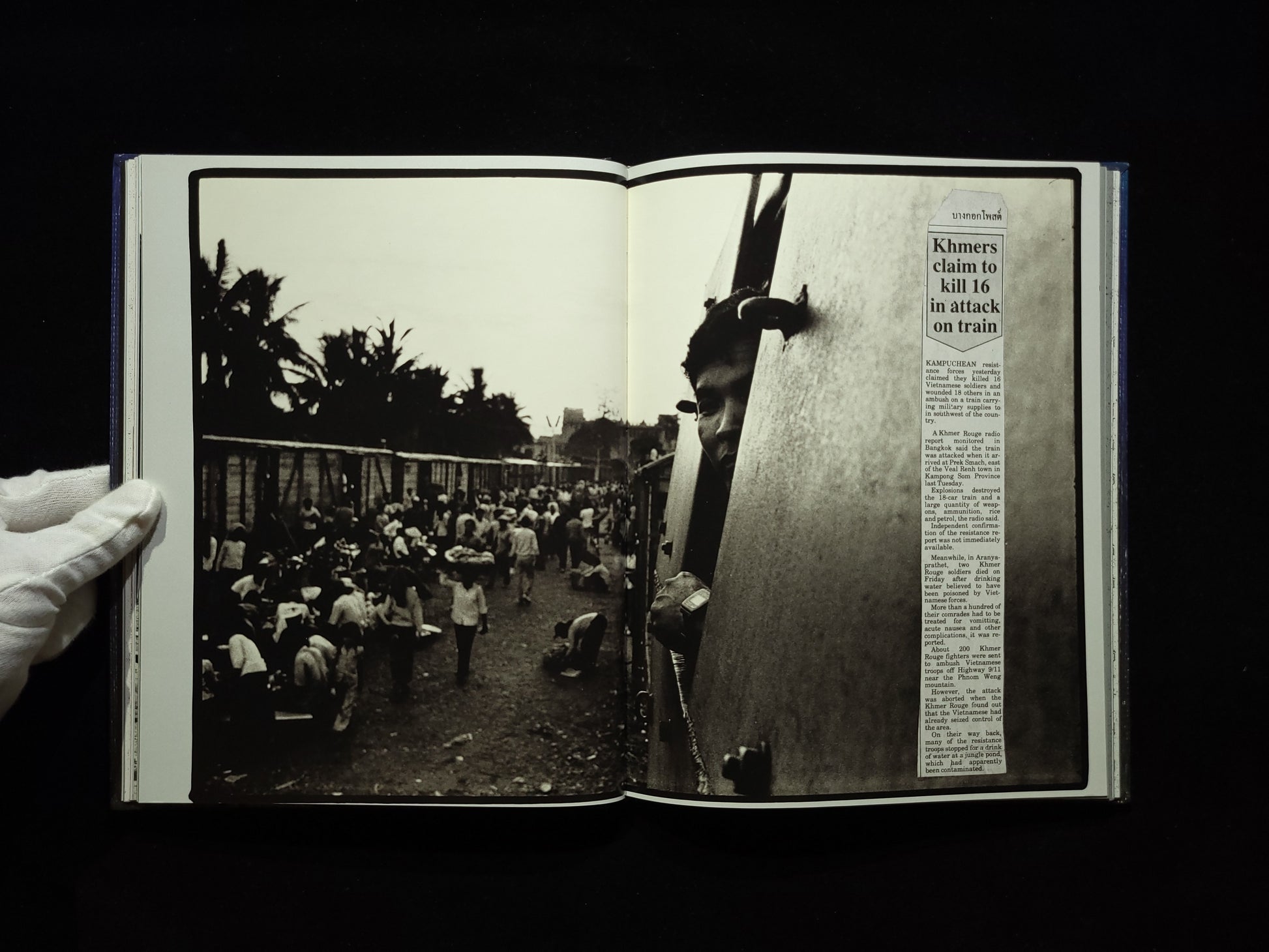 Mine Fields / Bill Burke 