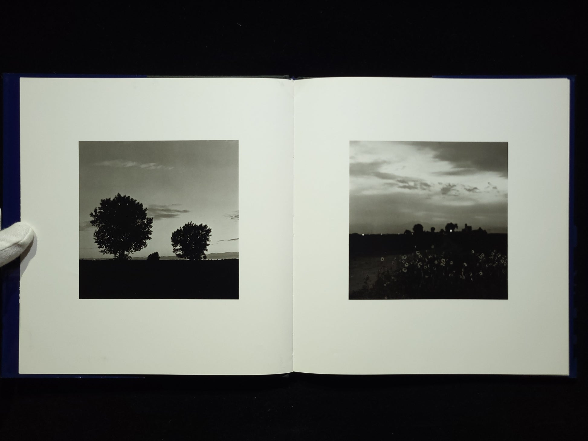 Summer Nights / Robert Adams